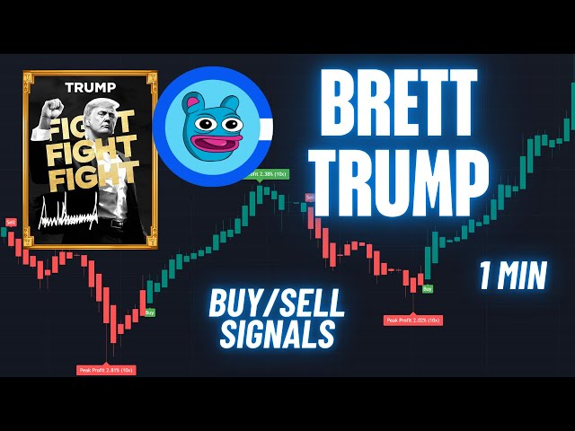 Live TRUMP | BRETT Trading Signals | Scalping Strategies #brett #trump