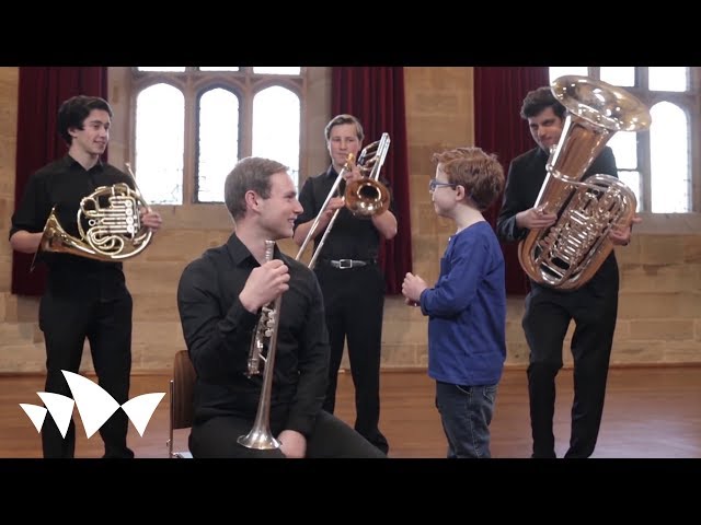 George Meets the Orchestra | An Introduction to the Orchestra for Children