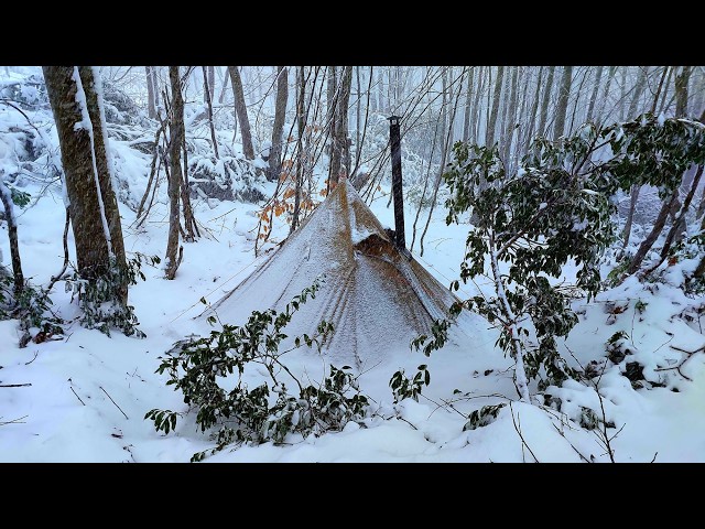 Bushcraft Winter Camping With Dog In Deep Snow | Survival Camp Cooking, Nature Documentary, Asmr