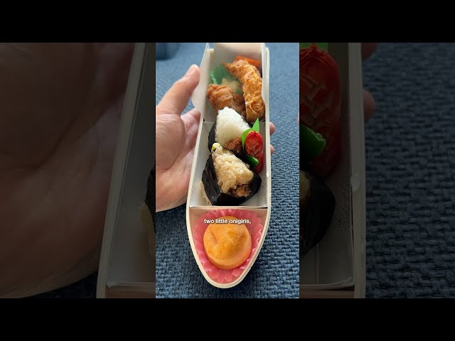 Bullet Train-Shaped Bento from Japan