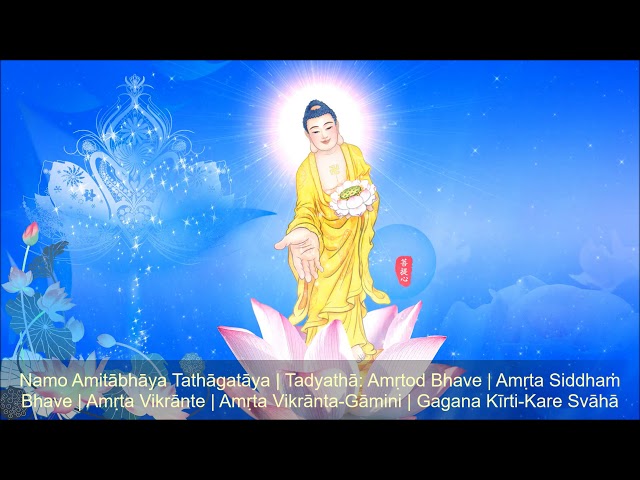 🎵 Vãng Sanh Tịnh Độ Thần Chú TIẾNG PHẠN ◾ Amitabha Pure Land Rebirth Mantra