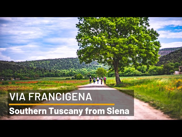 Walking to Southern Tuscany from Siena | Italy's Via Francigena | UTracks