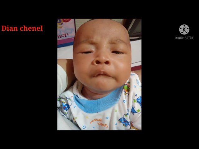 video lucu.!bikin orang gemes liat nya..?