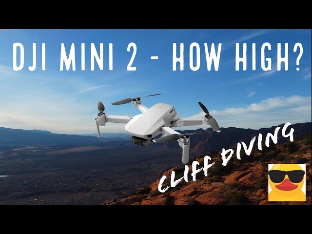 Cliff Diving with the DJI Mini 2 - How High Can it Go? - Plus + Finding New Friends.