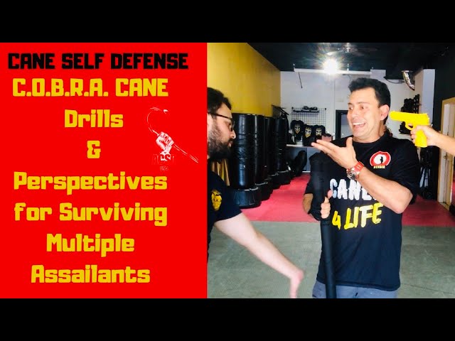 Cane Self Defense: COBRA Cane Drills & Perspectives for Surviving Multiple Assailants