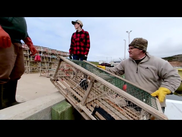 Loading the boat with Lobster Traps Nova Scotia VR Video