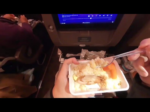 Airplane Food, Chicken With Rice meal [VR180 3D]