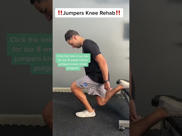 Fix Jumper's Knee Fast with Essential Eccentric Exercises #KneeRehab #EccentricTraining