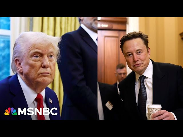 Elon Musk’s DOGE, Trump’s birthright citizenship executive order face growing legal challenges