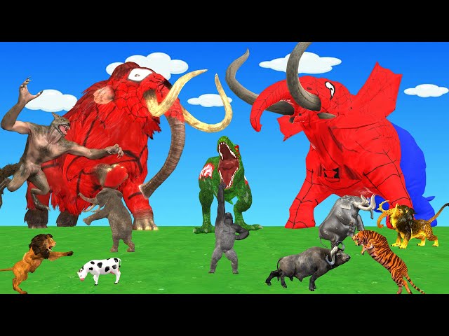 Who is Stronger ? Buffalo Gorilla Cow vs Tiger Wolf Lion Fight Spiderman Mammoth Rescue Cow Cartoon