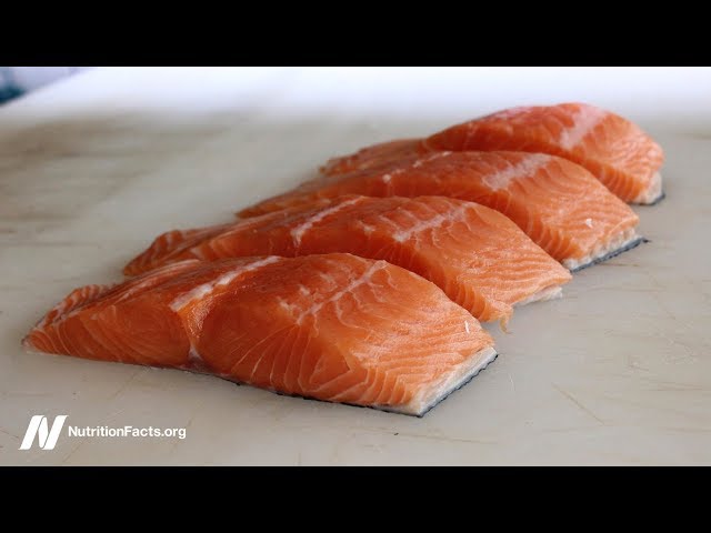 Avoiding Fish for 5 Years Before Pregnancy