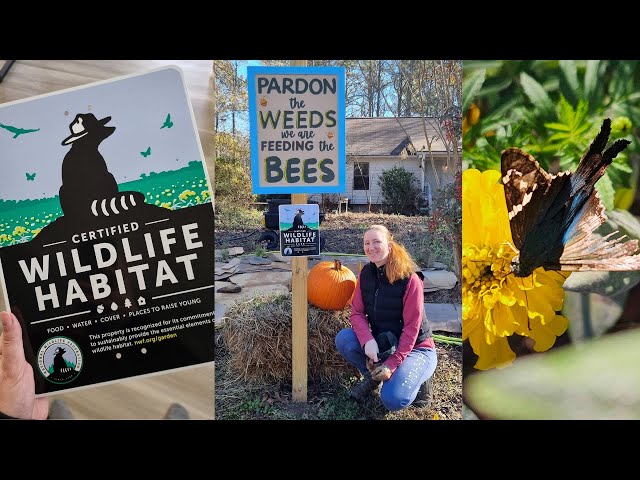 Creating Wildlife habitat in FoxGarden - GoFundMe project