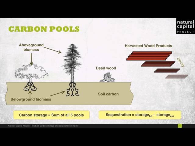 Introduction to the InVEST Carbon Model