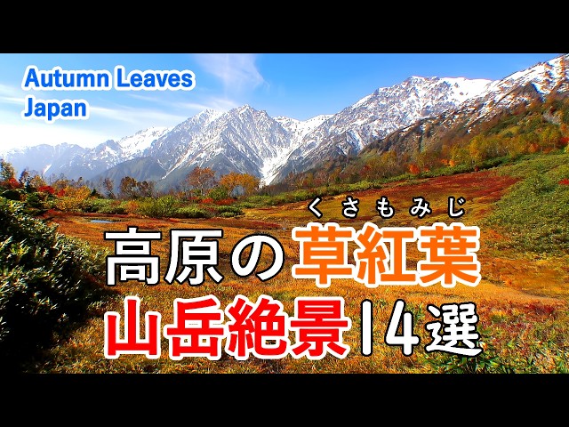 Best 14 spectacular mountain views  in autumn! / Beautiful Scenery of Japan [ 4K ]