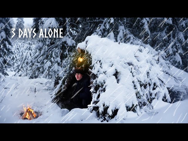 Building a Shelter to Survive HEAVY SNOW 🥶 3 Day Winter Camping