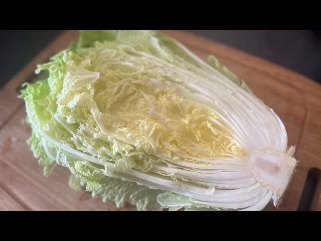 Harvesting Chinese Cabbage