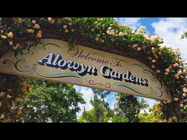 Alowyn Gardens | Walking Tour with Ambient Noise