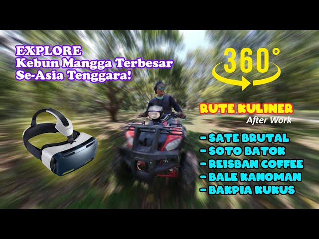 Bekerja x Berwisata di Kebun Mangga Terbesar se Asia Tenggara | VR 360