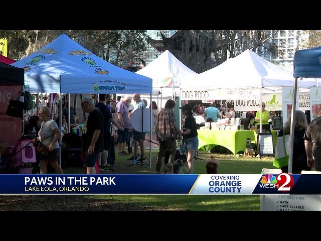 'It’s all for our furry friends': Paws in the Park returns to Lake Eola in Orlando