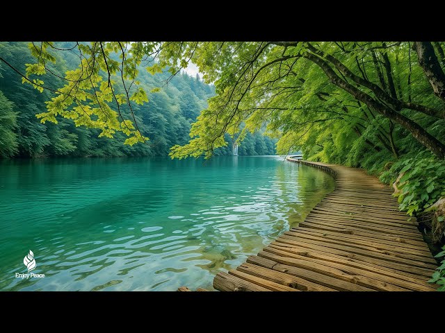 Beautiful Relaxing Music - Stop Overthinking, Stress Relief Music, Sleep Music, Calming Music