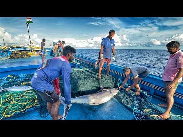 Wow! We Stayed In The Deep Sea For The Sevanth Day And Caught A Lot Of Sail Fish | Day-07 | S04-EP08