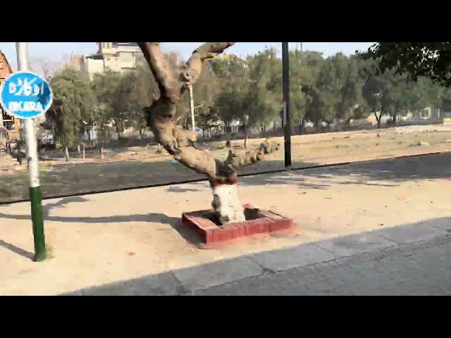 33UP Pak Bussines Crossing Okara Station 🔥 #viralvideo #train #pakistan