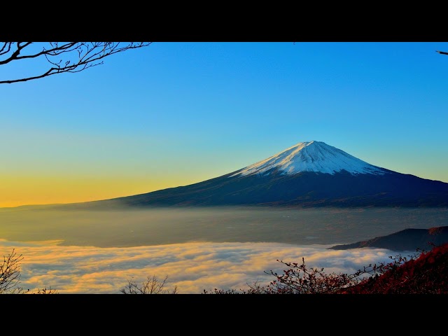 2025-02-11【晨祷亮光】慈爱的父，医治我们的全心全灵，使我们活出你的荣光