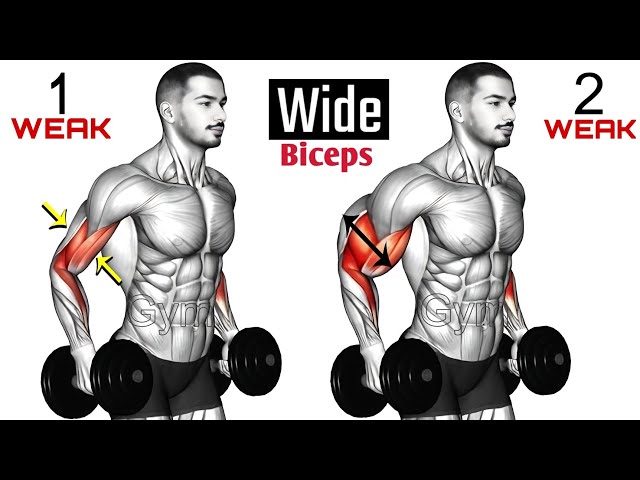 Best Biceps workout at gym Exercise