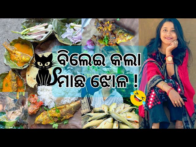 ବିଲେଇ ରୋଷେଇ କଲା ମାଛ ପତ୍ରପୋଡା😳#odiavlog#sumanbhanuvlog#feast#foodie