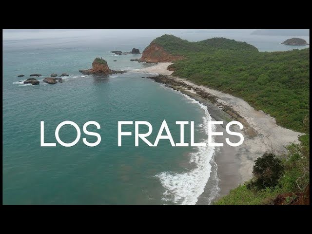 Walking around National Park - Los Frailes, Ecuador - 360 Degree - 4k - VR Experience