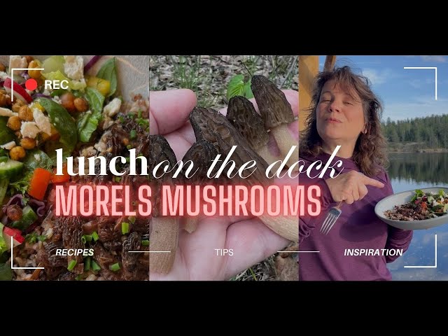 How to Cook Morel Mushrooms  -  Lunch on the Dock