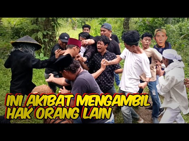 BANG REY LAMPUNG TERBARU || LAHAN SAWIT DI PAGAR KELILING !!