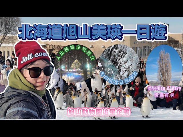 【北海道冬季】超齡親子旅行團 Ep 3 - 旭山動物園企鵝追星之旅｜Ken & Mary之樹打卡｜冬日限定白鬚瀑布｜森林精靈露臺