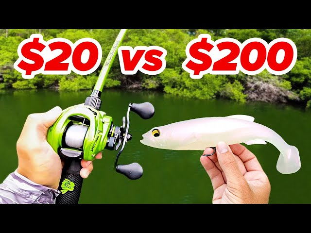 $20 vs $200 Swimbait Budget Fishing Challenge!