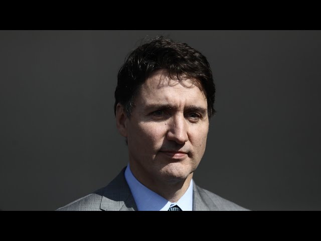 Justin Trudeau confirms Trump’s planned tariffs on Canada will be paused for 30 days