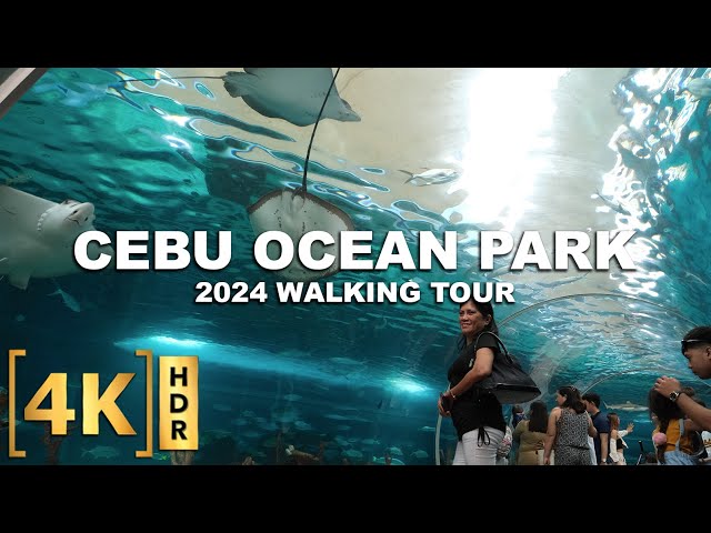 2024 Complete Tour of CEBU OCEAN PARK! | The BEST and BIGGEST Oceanarium in the Philippines!