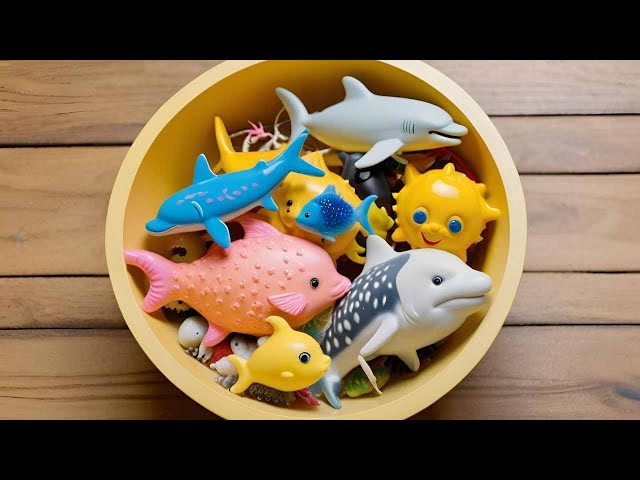 Sea Life Adventure Shark, puffer, Starfish, Clown, Tang, Eel, Gold fish, Sea Horse, Dolphin LIVE