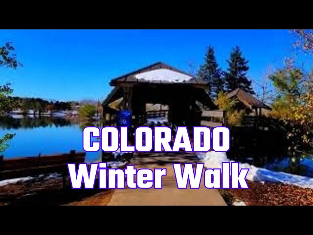 Music & Snowy Trails 🎶 | Relaxing Virtual Winter Treadmill Walk in Colorado