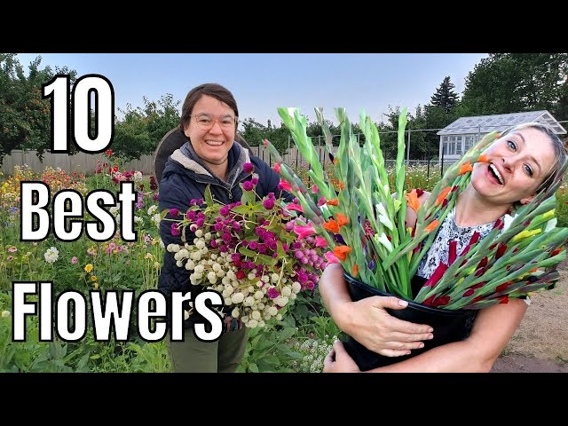 10 Most Profitable Cut Flowers with Flower Hill Farm