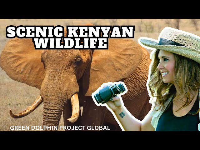 Kenya and Amboseli - Scenic Wildlife Film with African Music