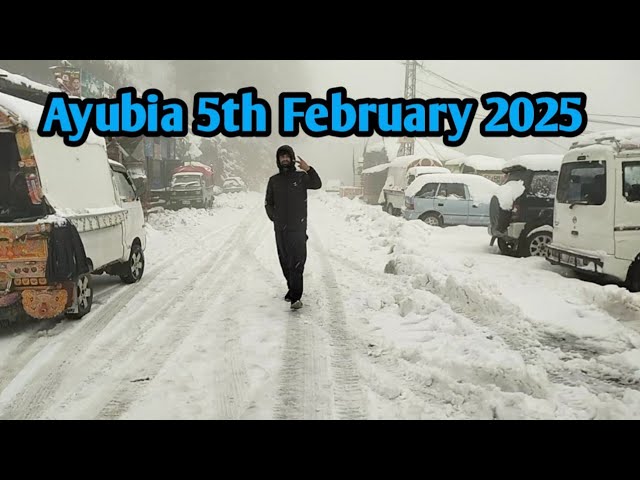 Live snowfall from ayubia/today snowfall in Ayubia /Nathiagali snowfall update