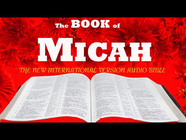 MICAH |New International Ver (NIV)| Audio Bible w\calmwater &bird sound|#audio #audiobible #nivbible