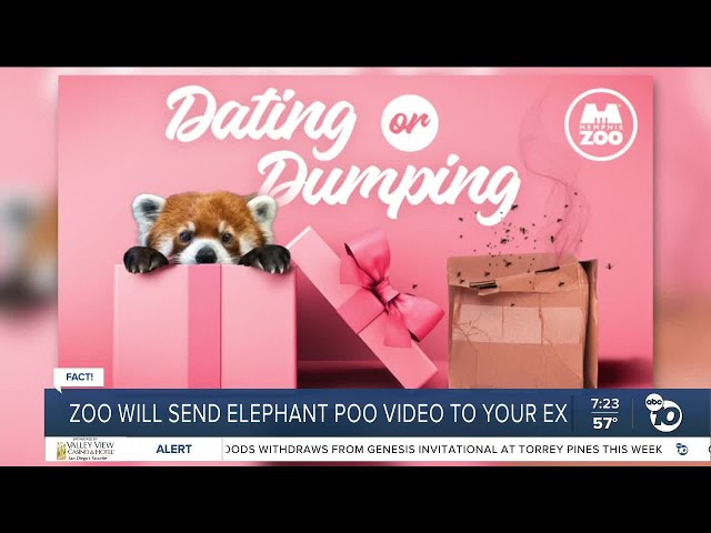 Fact or Fiction: Zoo will send elephant poo video to your ex