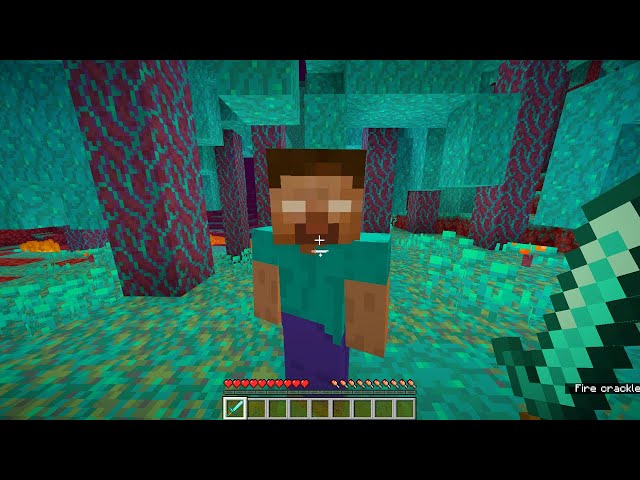 I Found Herobrine in Minecraft 1.16