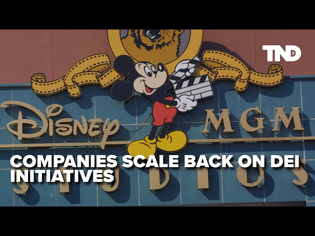 Disney and PBS among companies to scale back on diversity, equity and inclusion initiatives