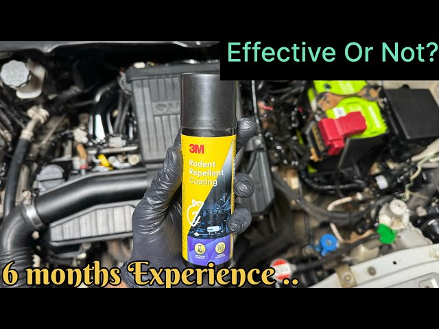 3m Rodent Repellent Coat For Car Engine Bay & Wheel Arch | How to Protect Car from Rats | Stop Rat