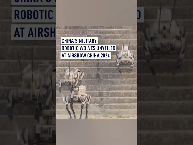 China's military robotic wolves unveiled at Airshow China 2024