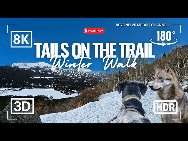 VR 180 Winter Hike with Dogs. Exploring Boreas Pass in 8K 3D.  VR Travel Vlog. Breckenridge Colorado