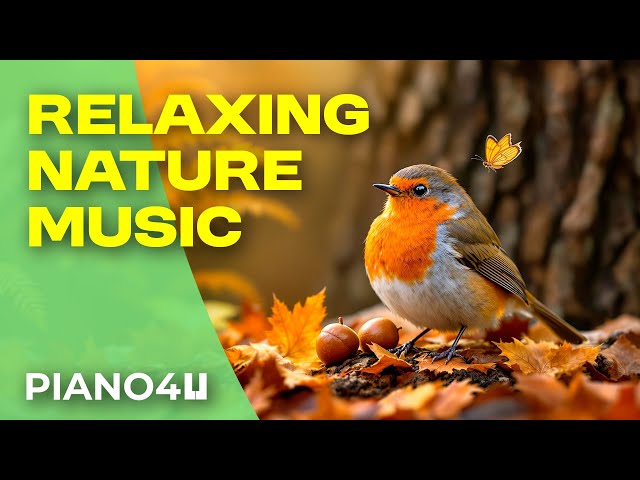 🌄 Stress Relief Music with Animals & Nature | 8 Hours of Relaxing Piano 🐕