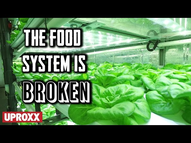 Local Roots, The Future of Farming | UPROXX Reports